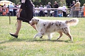 IMG_0018