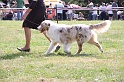 IMG_0019