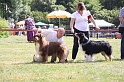 IMG_0021