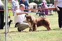 IMG_0024