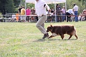 IMG_0030