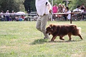 IMG_0031