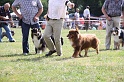 IMG_0033