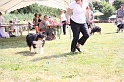 IMG_0036