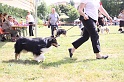 IMG_0037