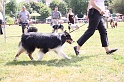 IMG_0038