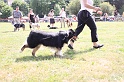 IMG_0039
