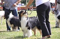 IMG_0040