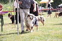 IMG_0051