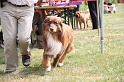 IMG_0058