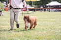 IMG_0059