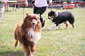 IMG_0060