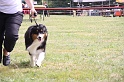 IMG_0061