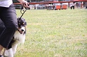 IMG_0062