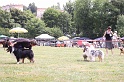 IMG_0070