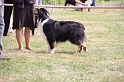 IMG_0074