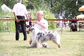 IMG_0075
