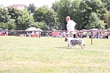 IMG_0078