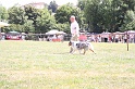 IMG_0079