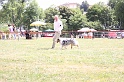 IMG_0081