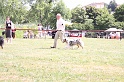 IMG_0082