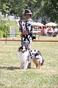IMG_0090