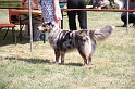 IMG_0101