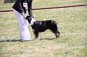 IMG_0106