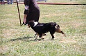 IMG_0124