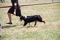 IMG_0127