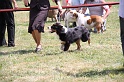 IMG_0129