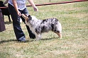 IMG_0131