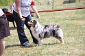 IMG_0132