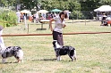 IMG_0139