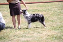 IMG_0142