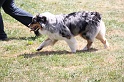 IMG_0146