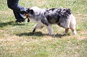 IMG_0147