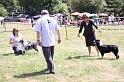 IMG_0153