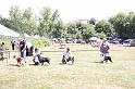 IMG_0156