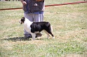 IMG_0159