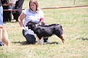 IMG_0161