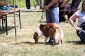 IMG_0163