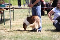 IMG_0164