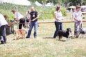IMG_0171