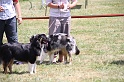 IMG_0174