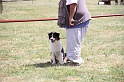 IMG_0175