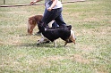 IMG_0176