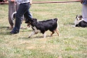 IMG_0179