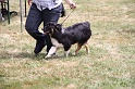 IMG_0181
