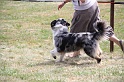 IMG_0182